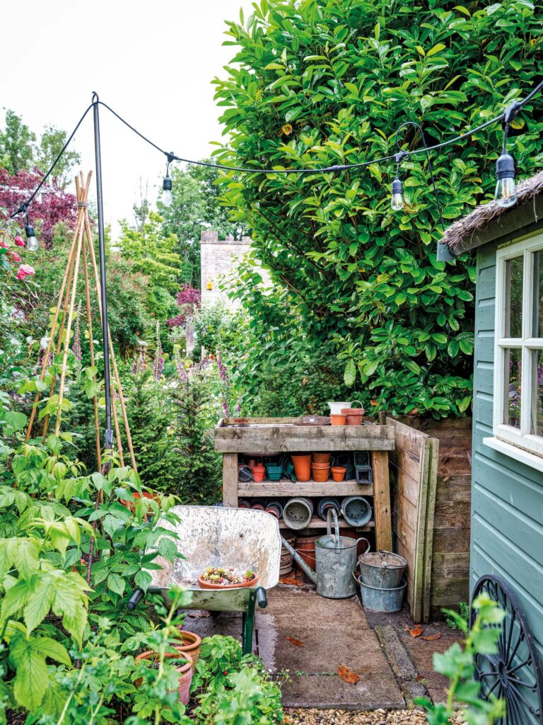 a shelf of pots sits next to a wheelbarrow in a crowded garden space