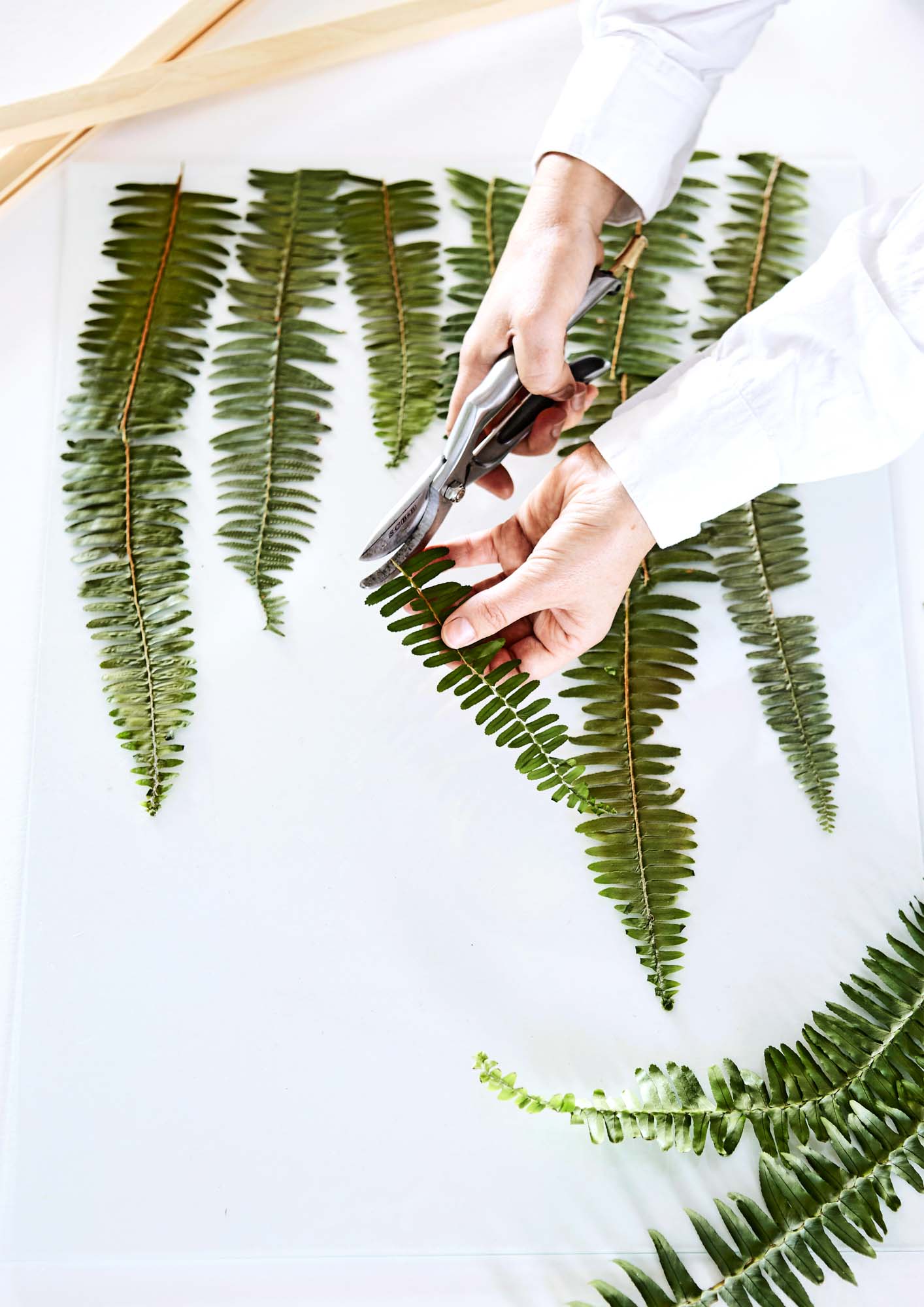 How to press plants and flowers from your garden into artwork WOMAN
