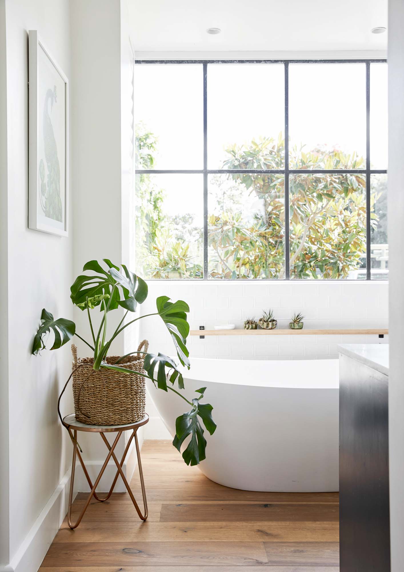 A bathroom with timber floors and a crittle style window. A freestanding bath with a freestanding plant pot next to it