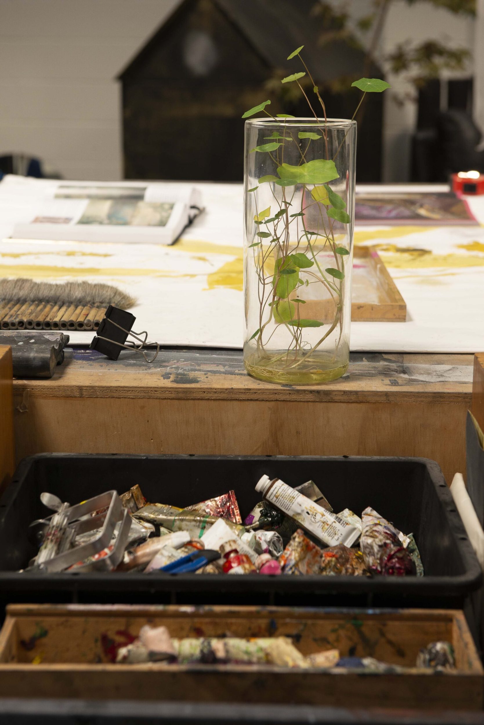 Close up image of tray filled with tubes of paint