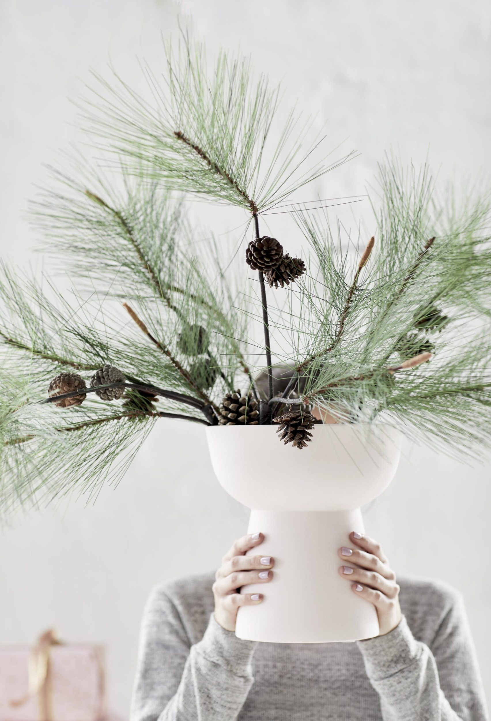 Christmas tree branches in a white pot being held by a person
