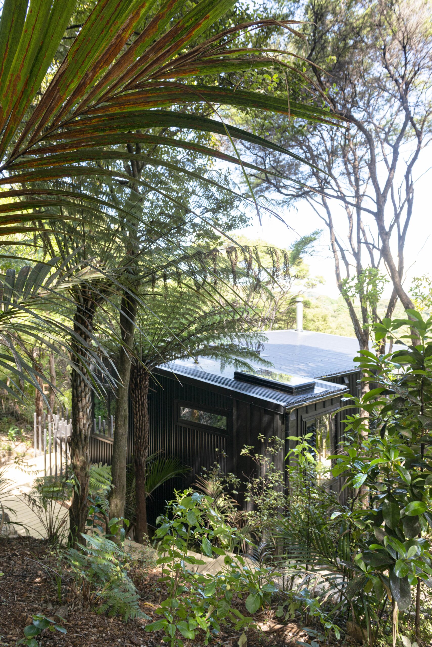 A black coloursteel house nestled in amongst New Zealand native bush