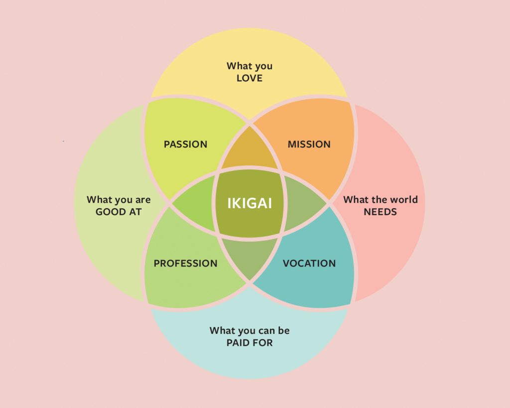 Illustration of ikigai concepts on a pink background