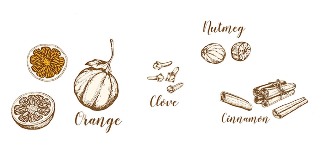Illustration of orange, cloves, nutmeg, cloves and cinnamon