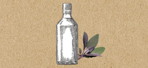 Illustration of tonic bottle with sage