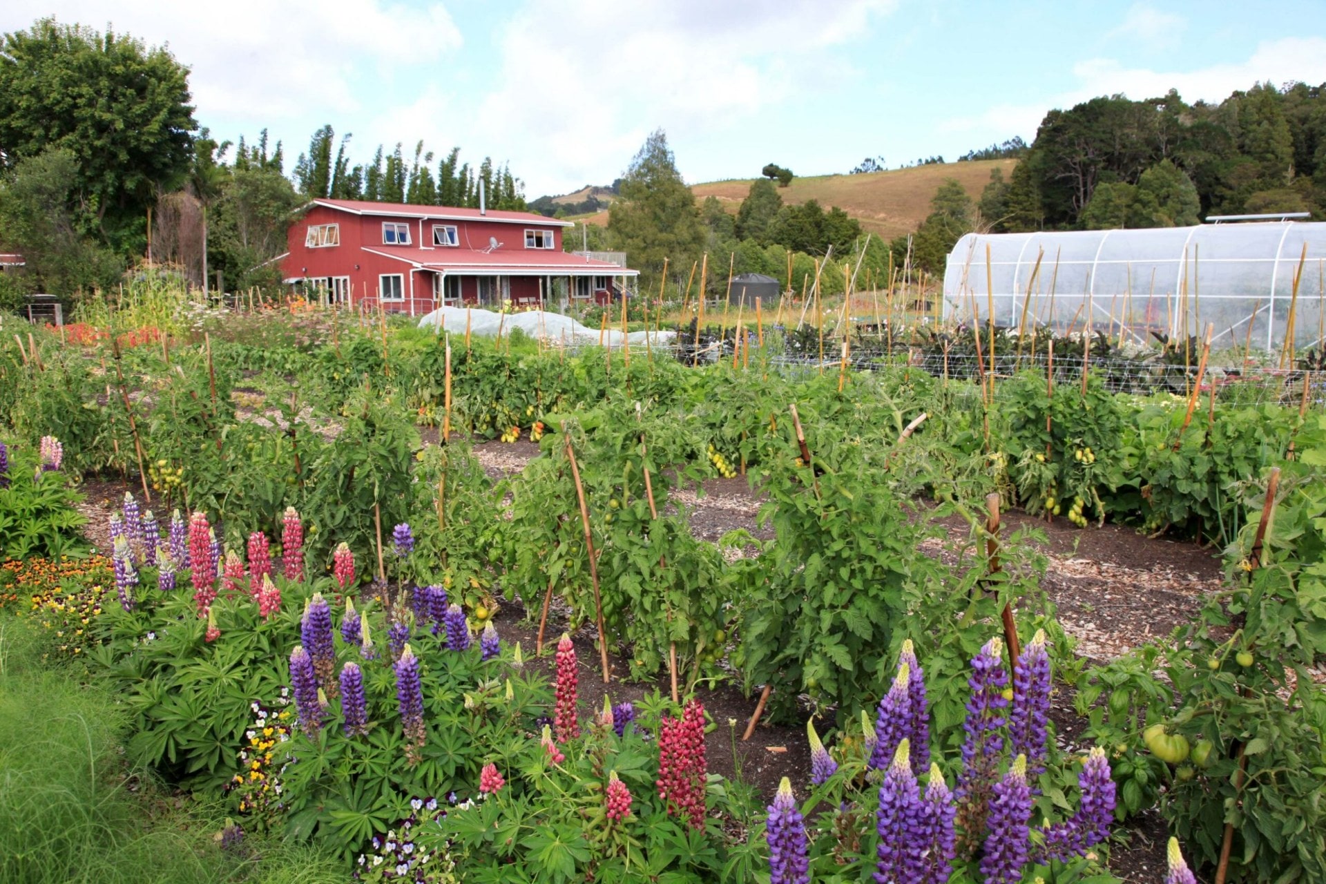 Left Fields flower garden and red barn