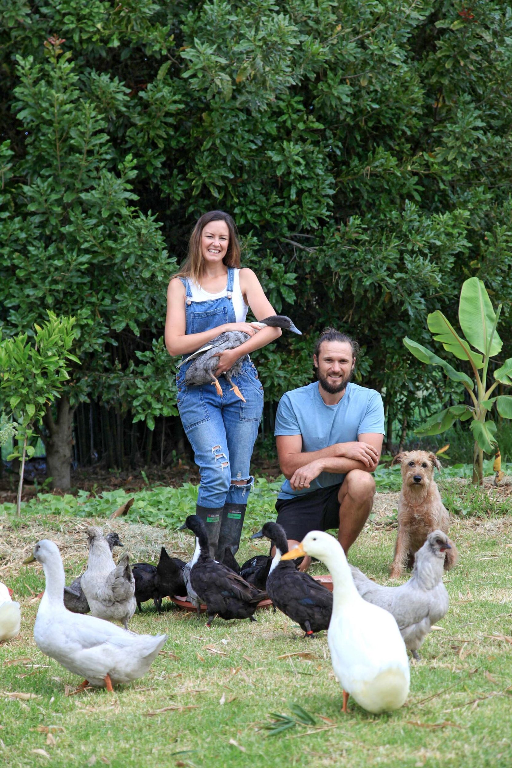 Couple in with Irish terrier dog and a flock of ducks