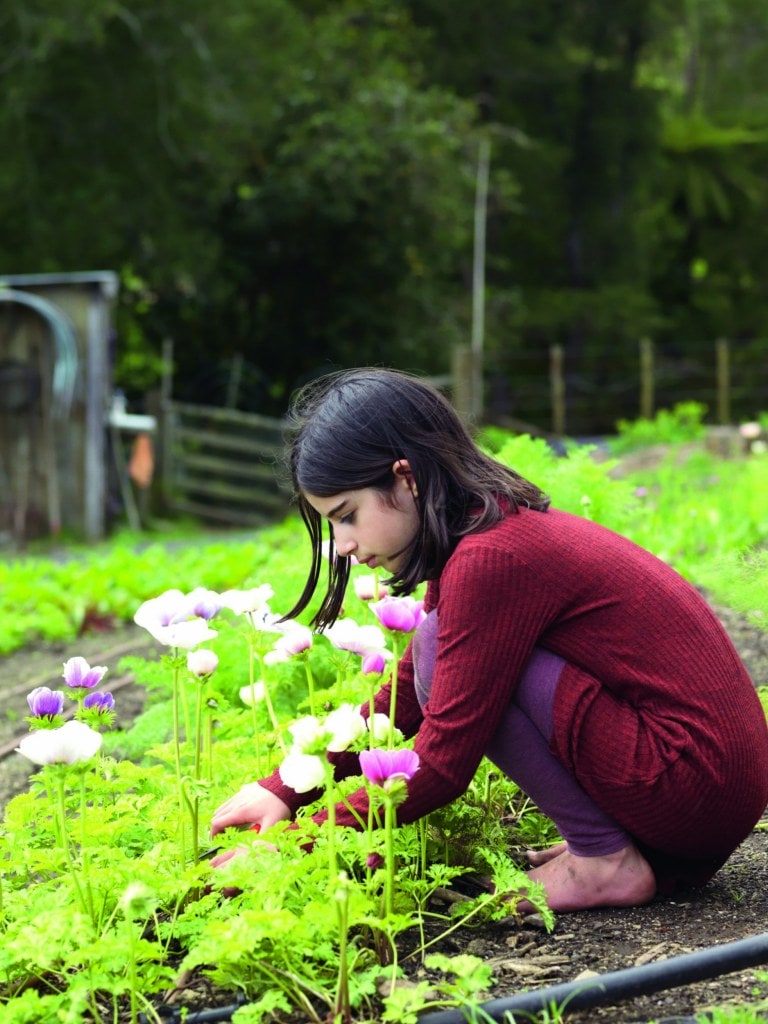 Lily Kay picking anemones from a garden filled with pink flowers