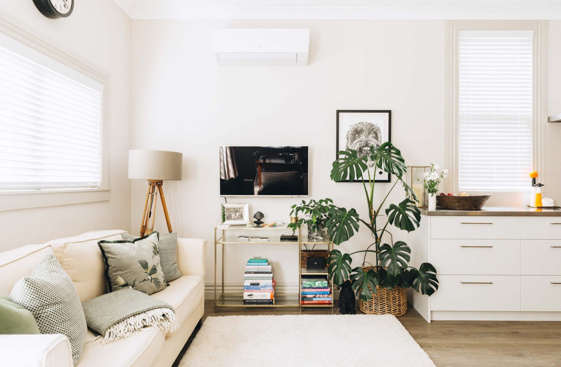 A white living room area with a white couch, drawers, a monstera plant in a brown natural pot and a hanging TV