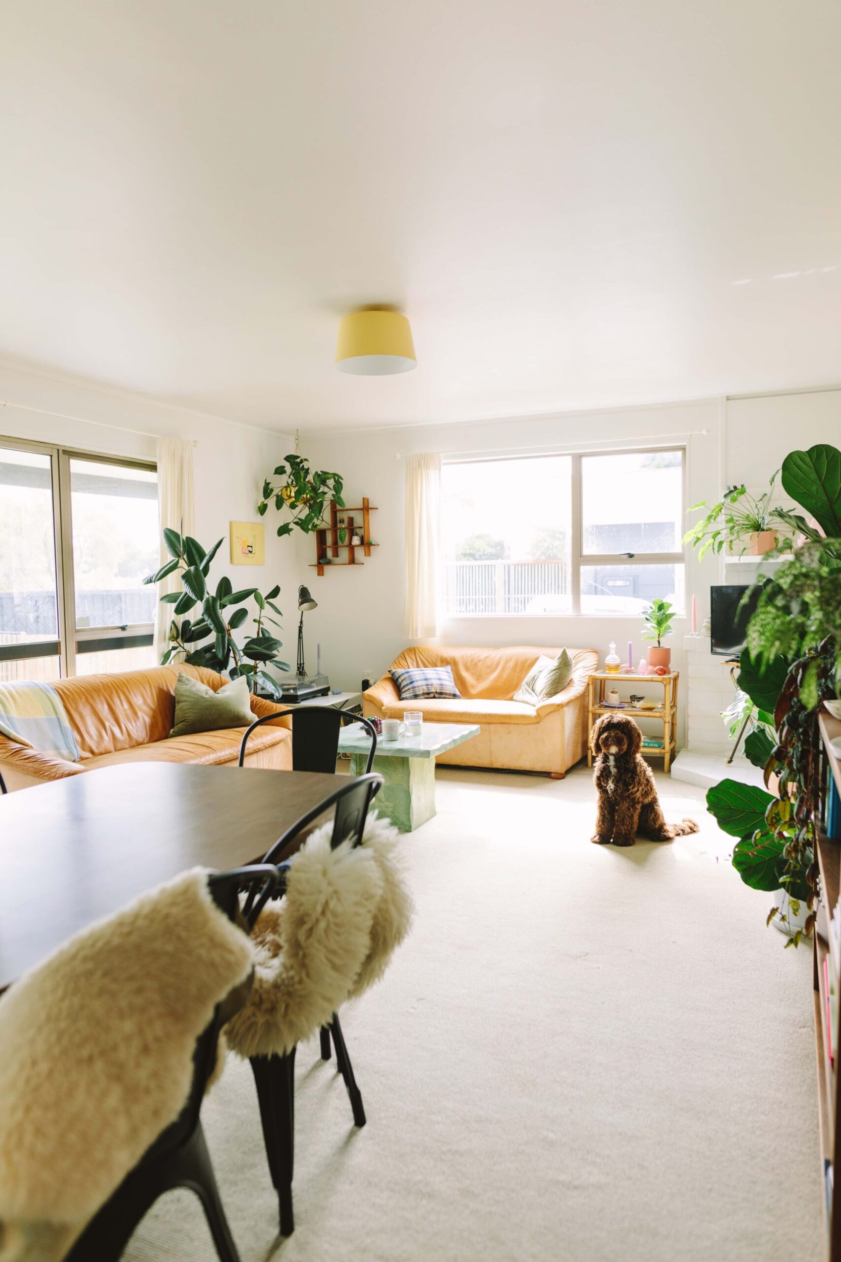 Living room with brown couches and green plants