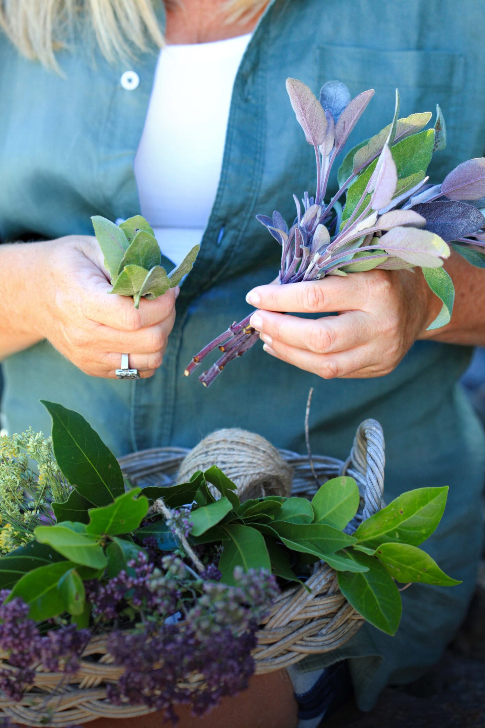 Two hands holding plants