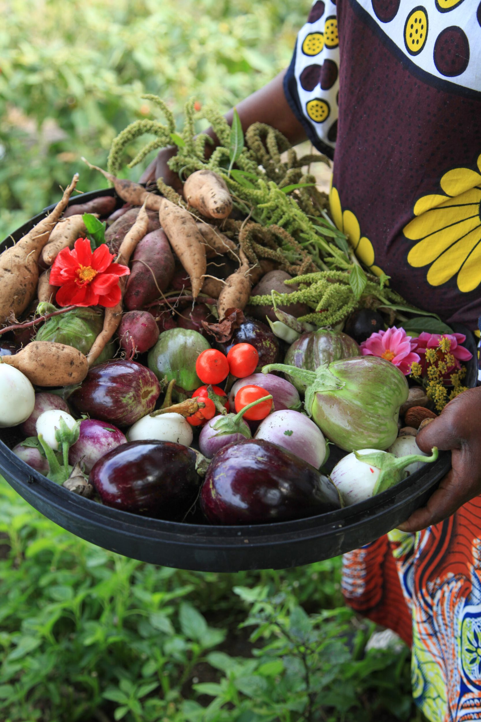 A woman's hands holding a black round tray filled with fruit and vegetables