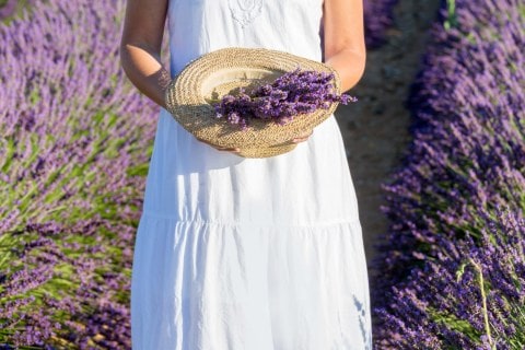 A woman holding a hat filled with lavender