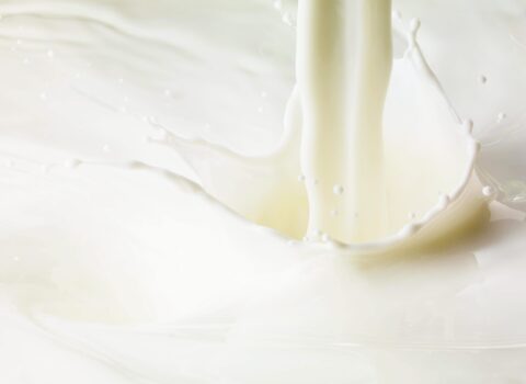 Milk pour and splash