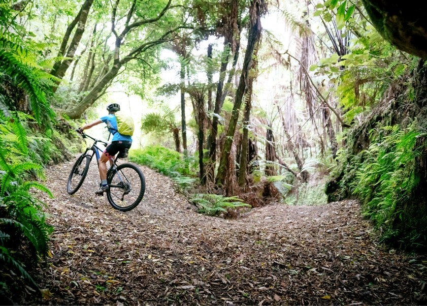 Person riding bike through Great Lake Trail in Taupō