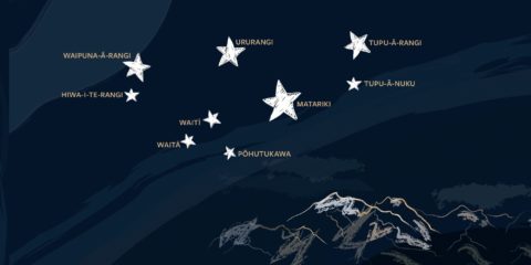 Illustration of mountains and a night sky with white Matariki stars