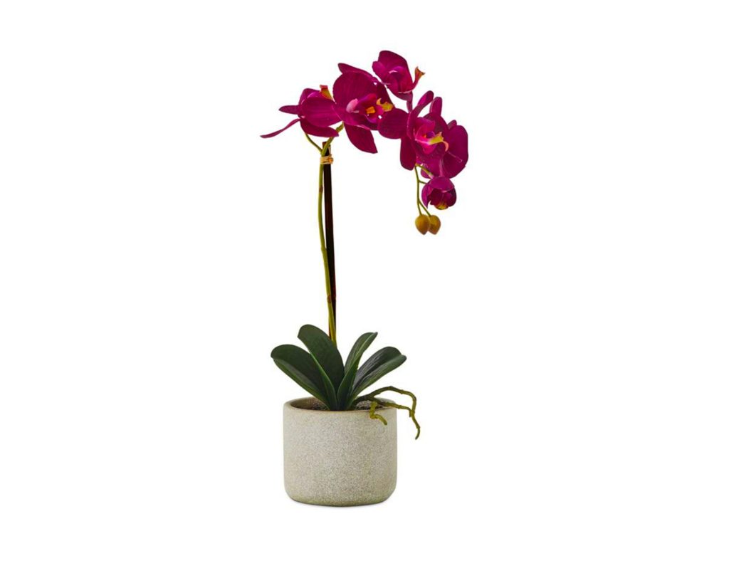 Mercer + Reid faux orchid, $32.99 from Adairs