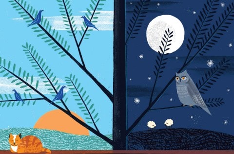 Illustration of a morning lark in the sun and a night owl at night