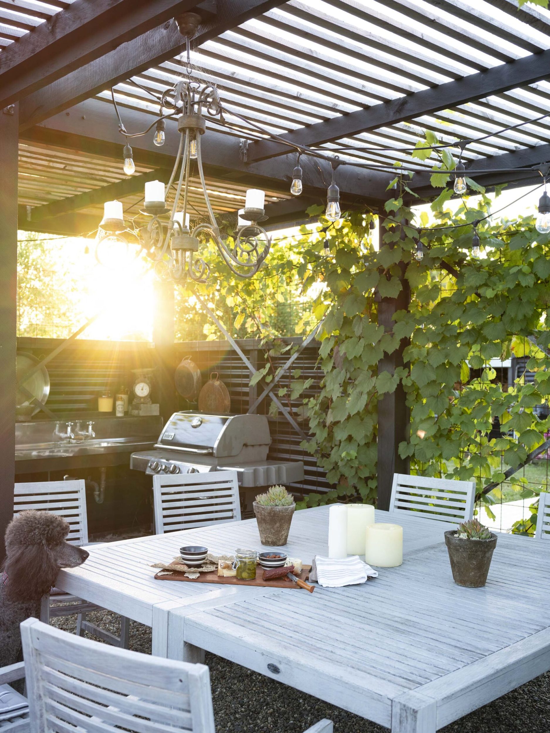 An outdoor kitchen with hanging vines at sunset