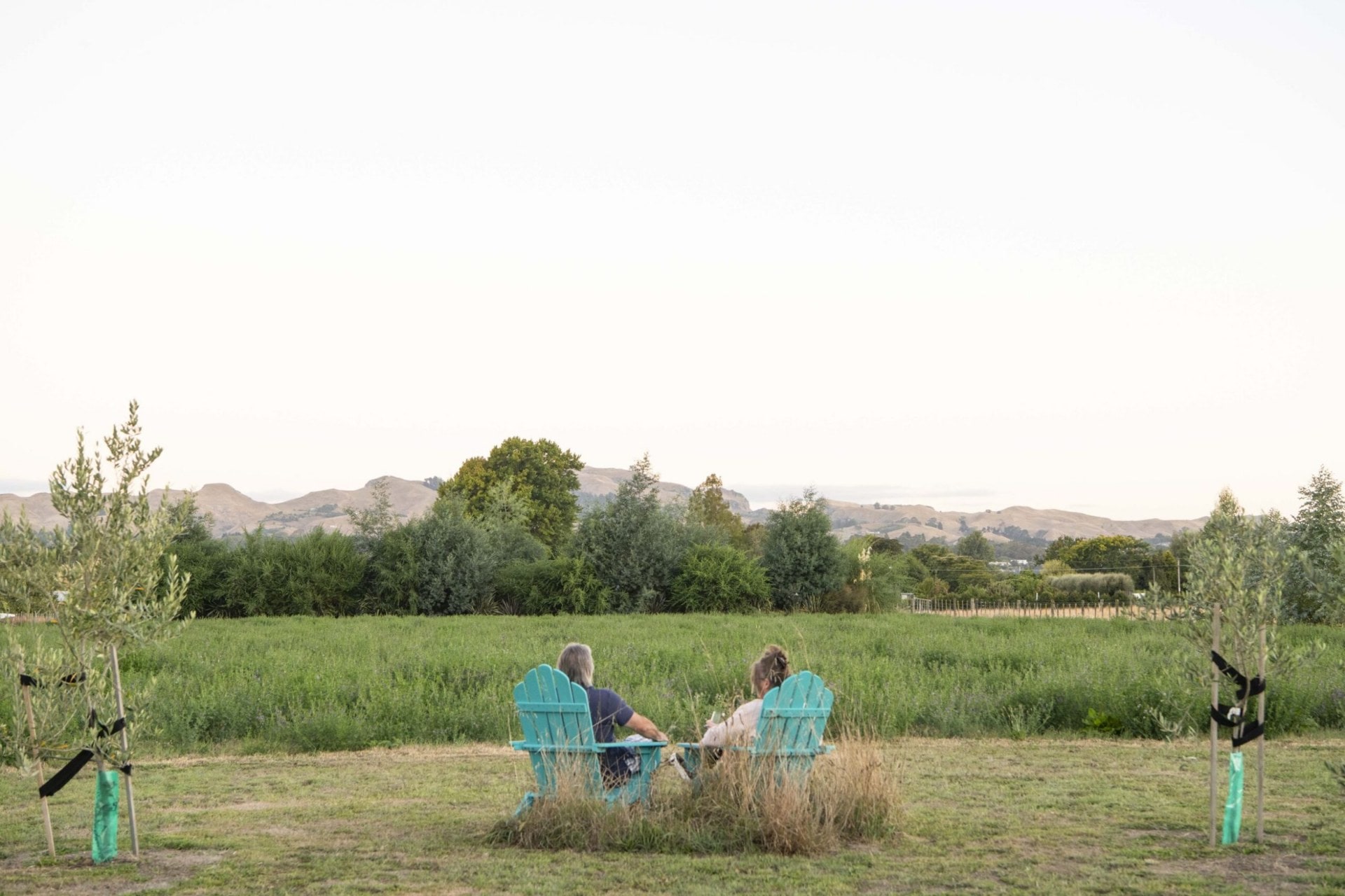 Lizzie Beere and Martin Fine sitting in green chairs in large yard