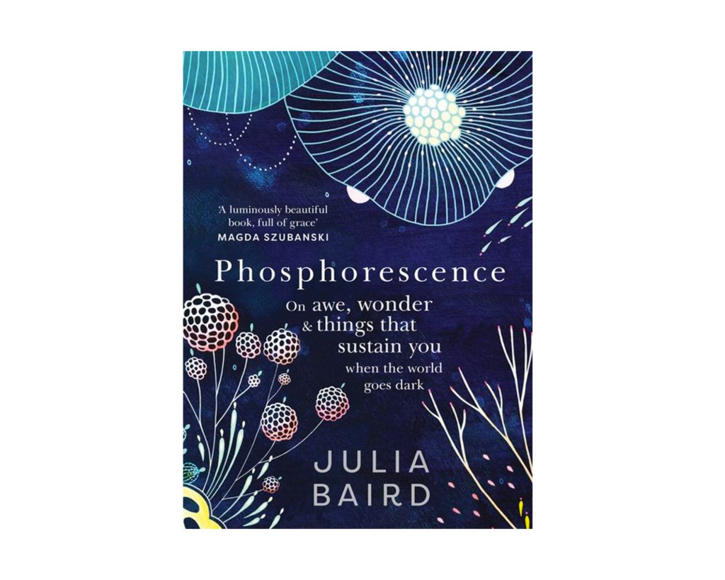 Phosphorescence by Julia Baird