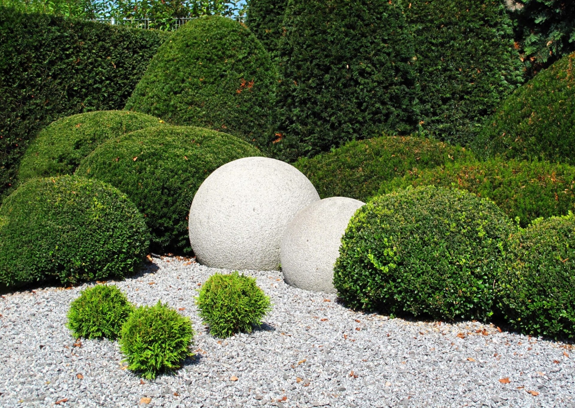 Round topiary bushes next to round white rocks
