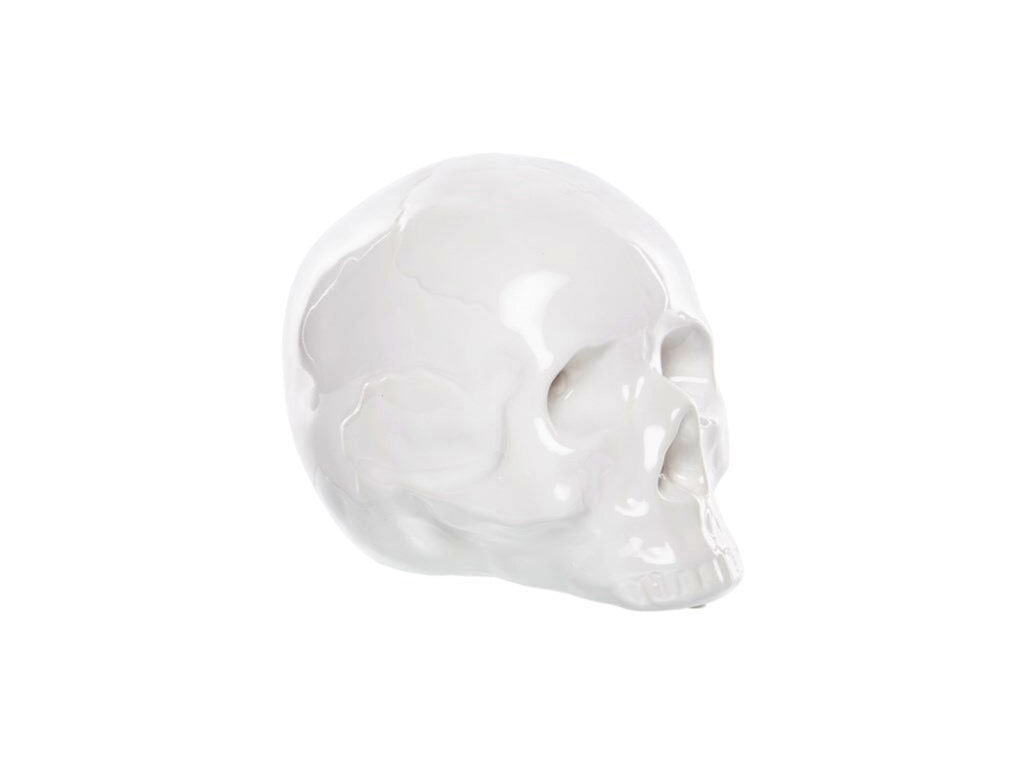 Seletti Memorabilia My Skull, $229 from Smith & Caughey’s