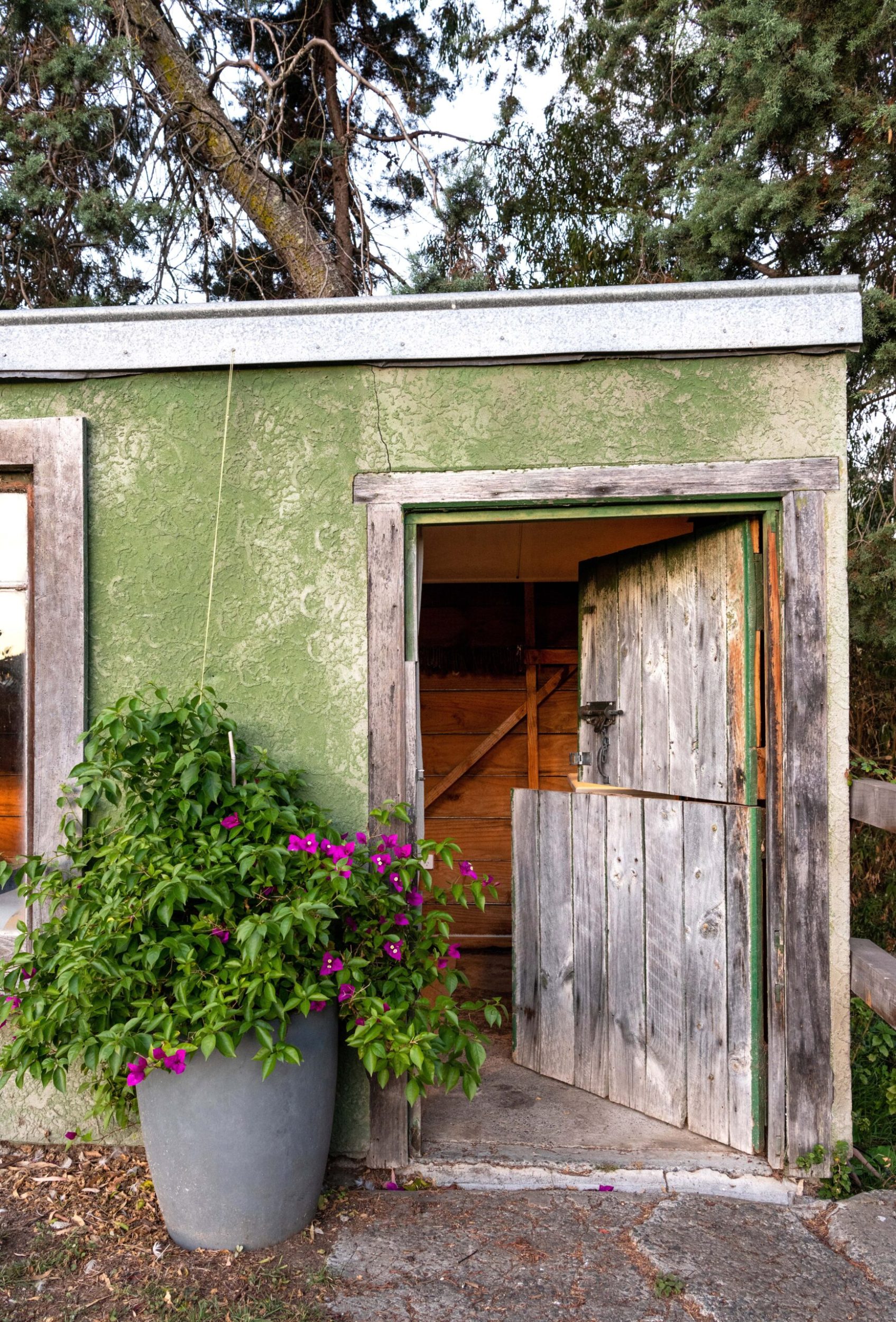 The exterior Dutch doors of a green single story shed