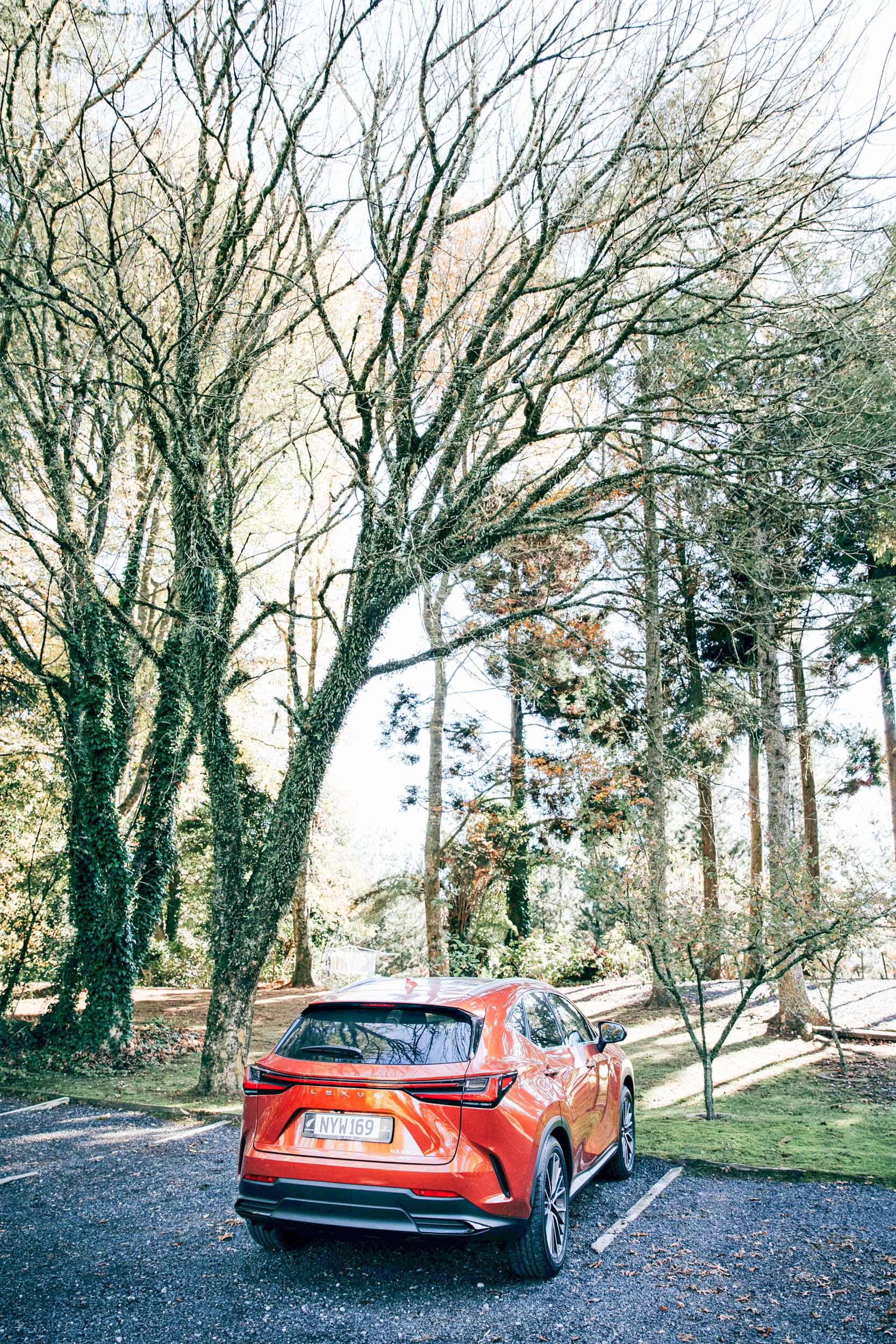 Red Lexus car parked in front of trees