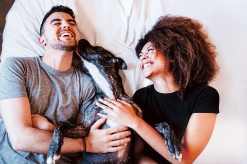 A couple laughing holding a dog between them