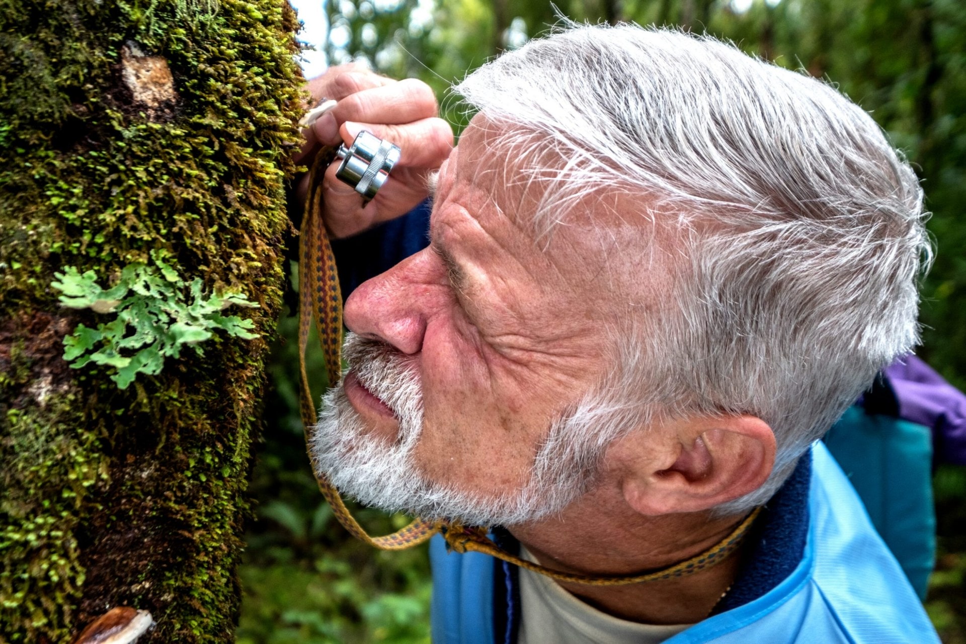 Peter Buchanan inspected living growths on a mossy tree trunk