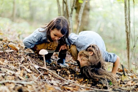 Two little girls inspecting mushrooms growing in a forest