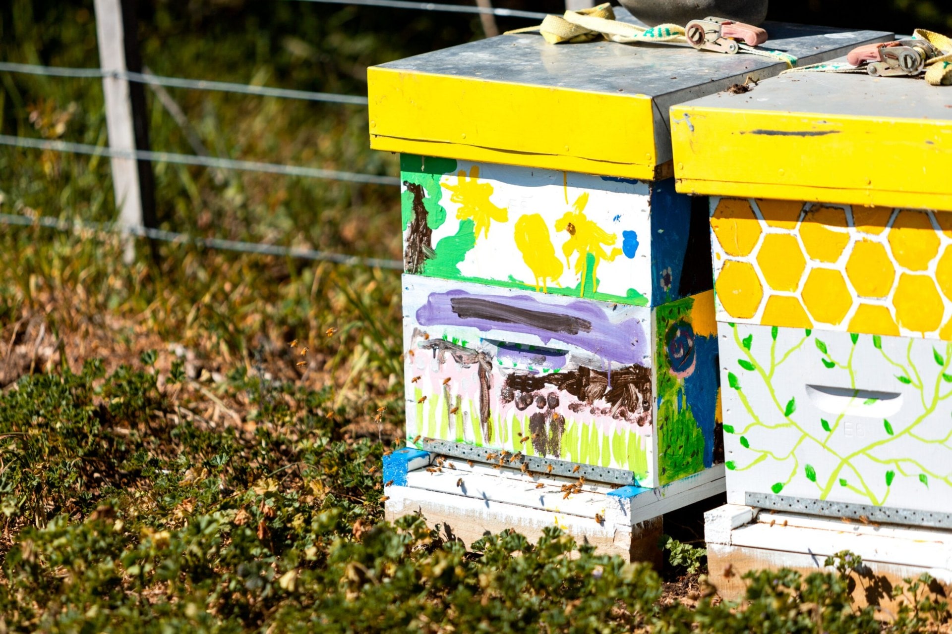 Two colourful bee hives