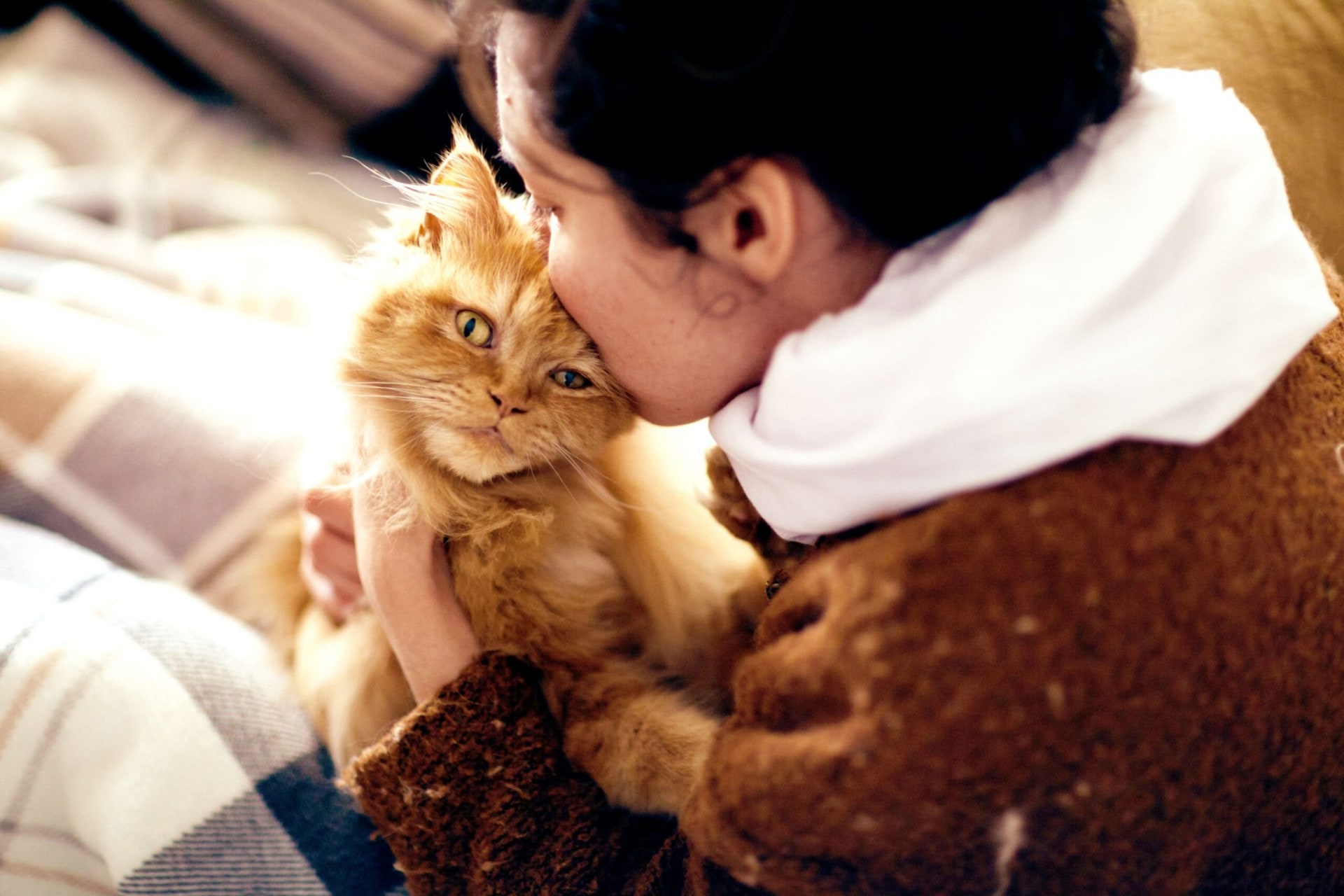 Girl holding ginger cat while kissing it's head