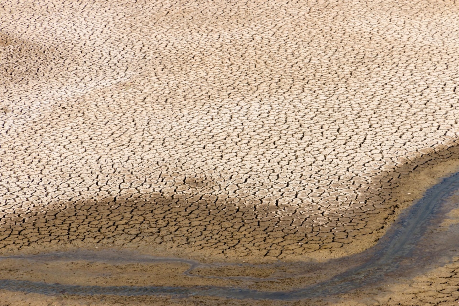 Cracked earth from extreme drought