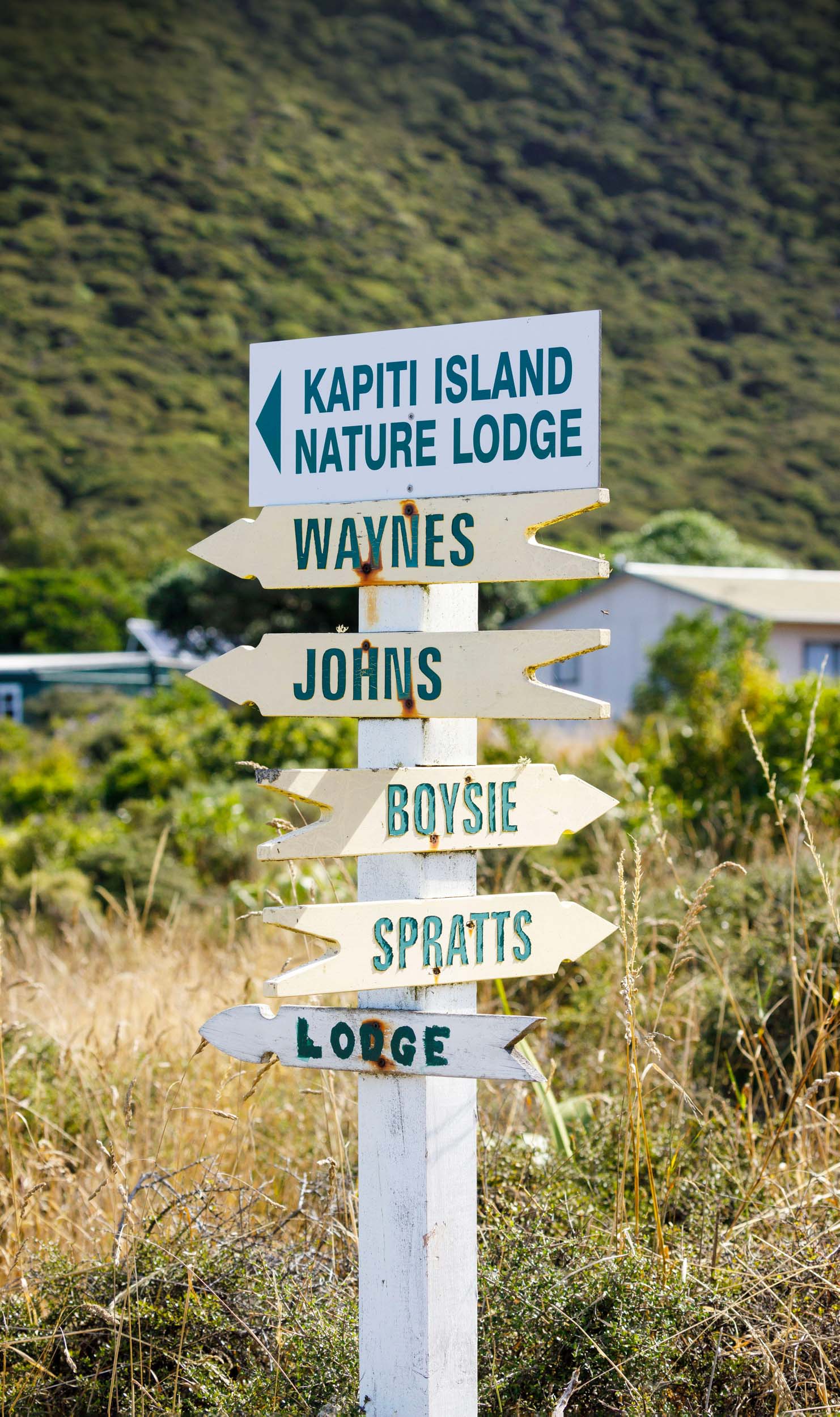 Kapiti Island sign