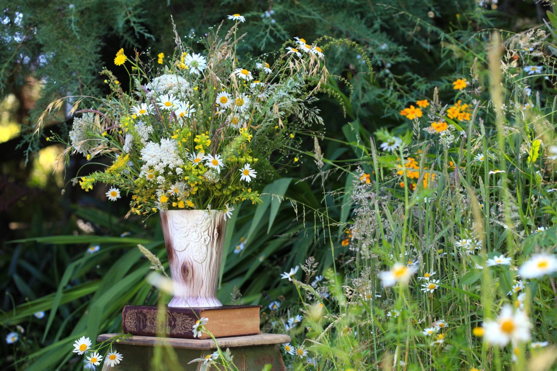 a vase of wild daisies in a garden