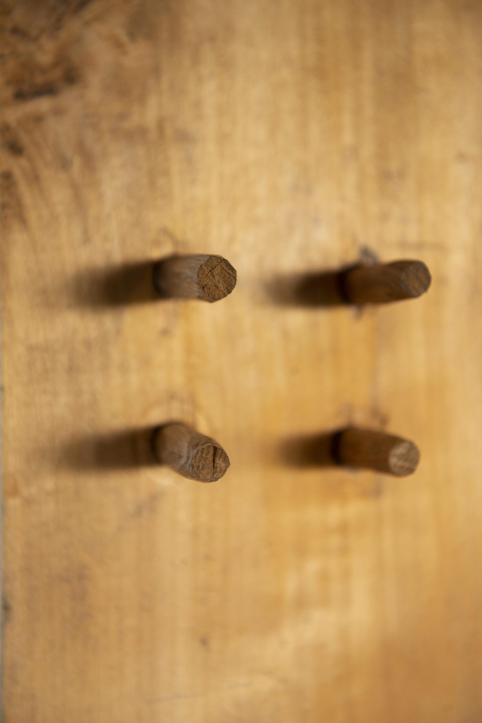 A wood plank with four treenails in a square formation embedded in it