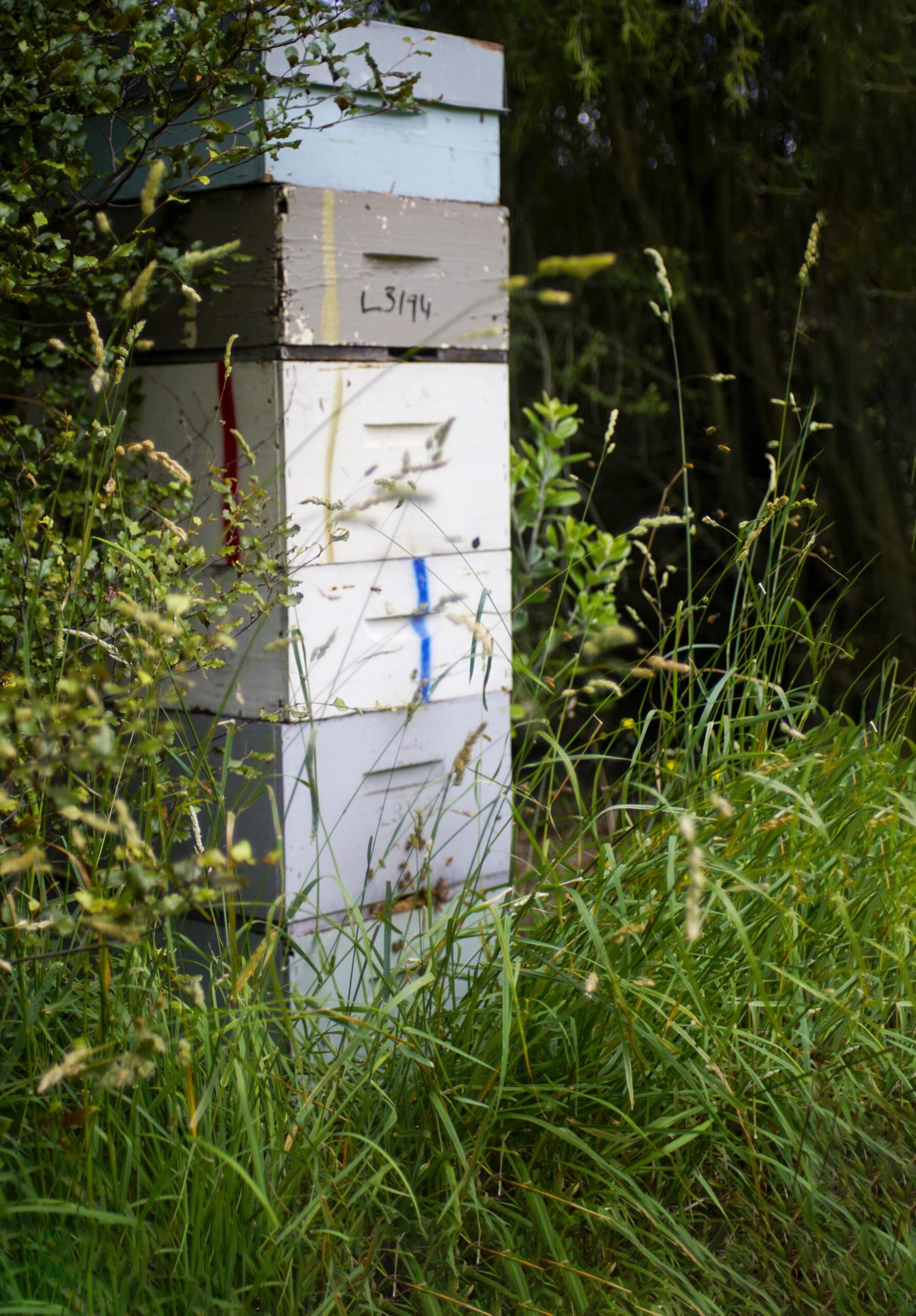 A stack of beehives standing in a garden