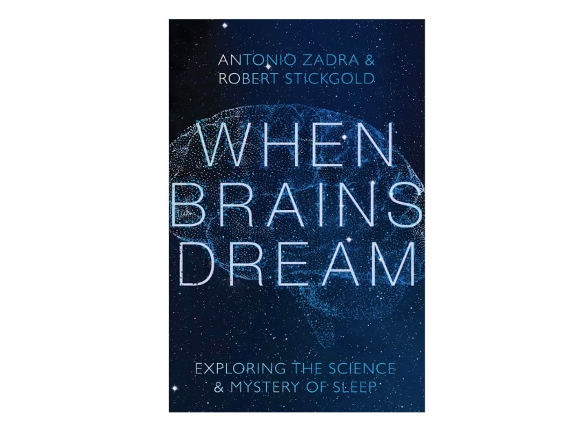 When Brains Dream: Exploring the science and mystery of sleep by Antonio Zadra and Robert Stickgold