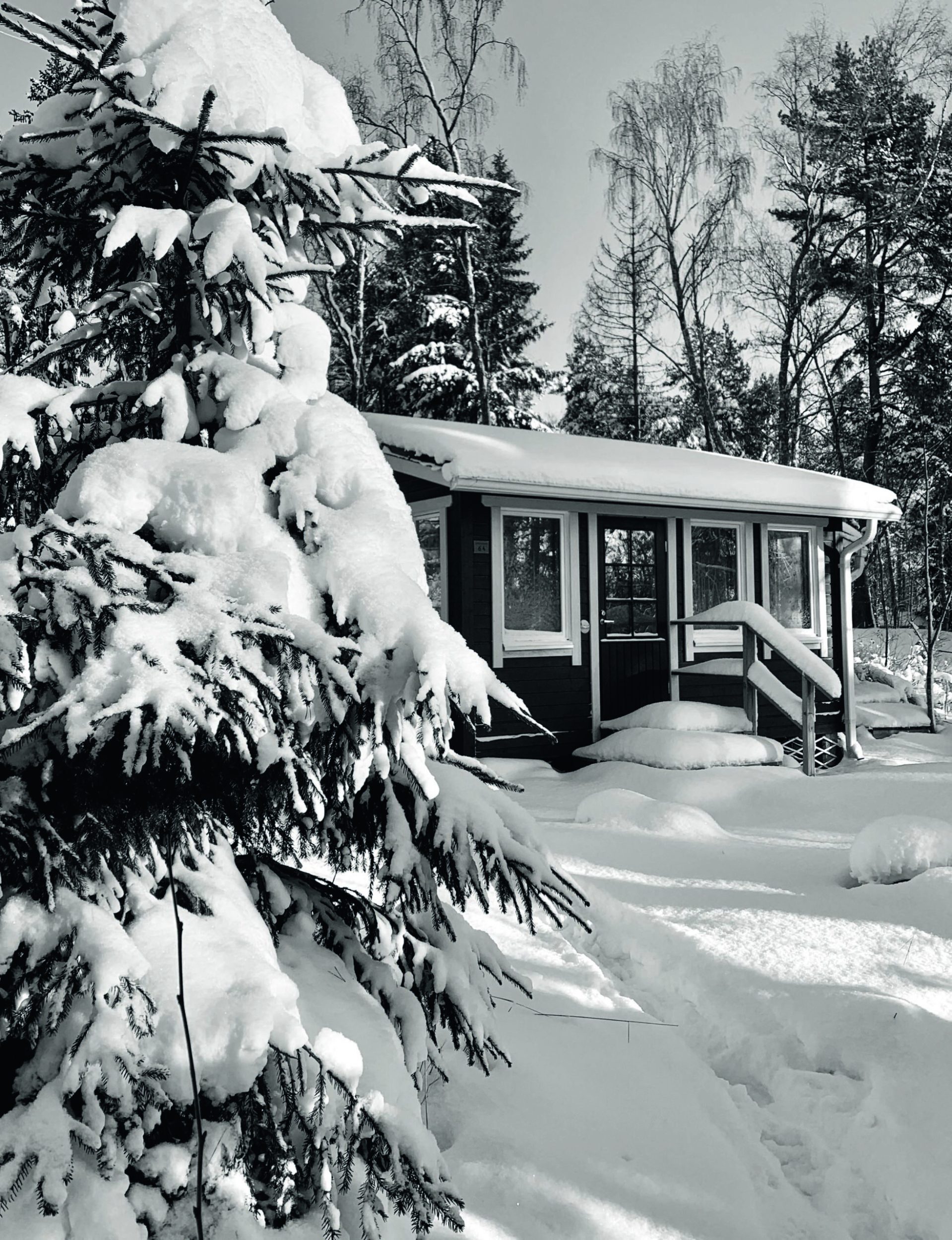 Black and white photo of a small cabin and pine tree covered in snow
