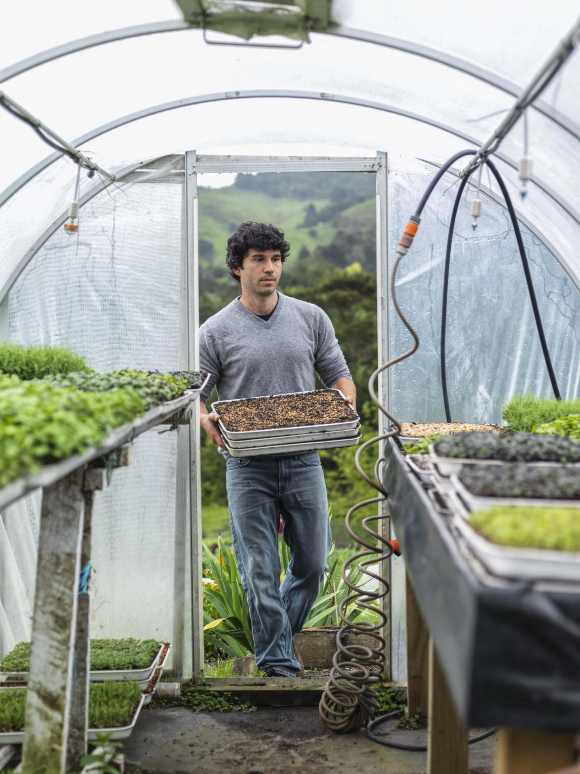 Yotam Kay carring a tray of soil in a greenhouse