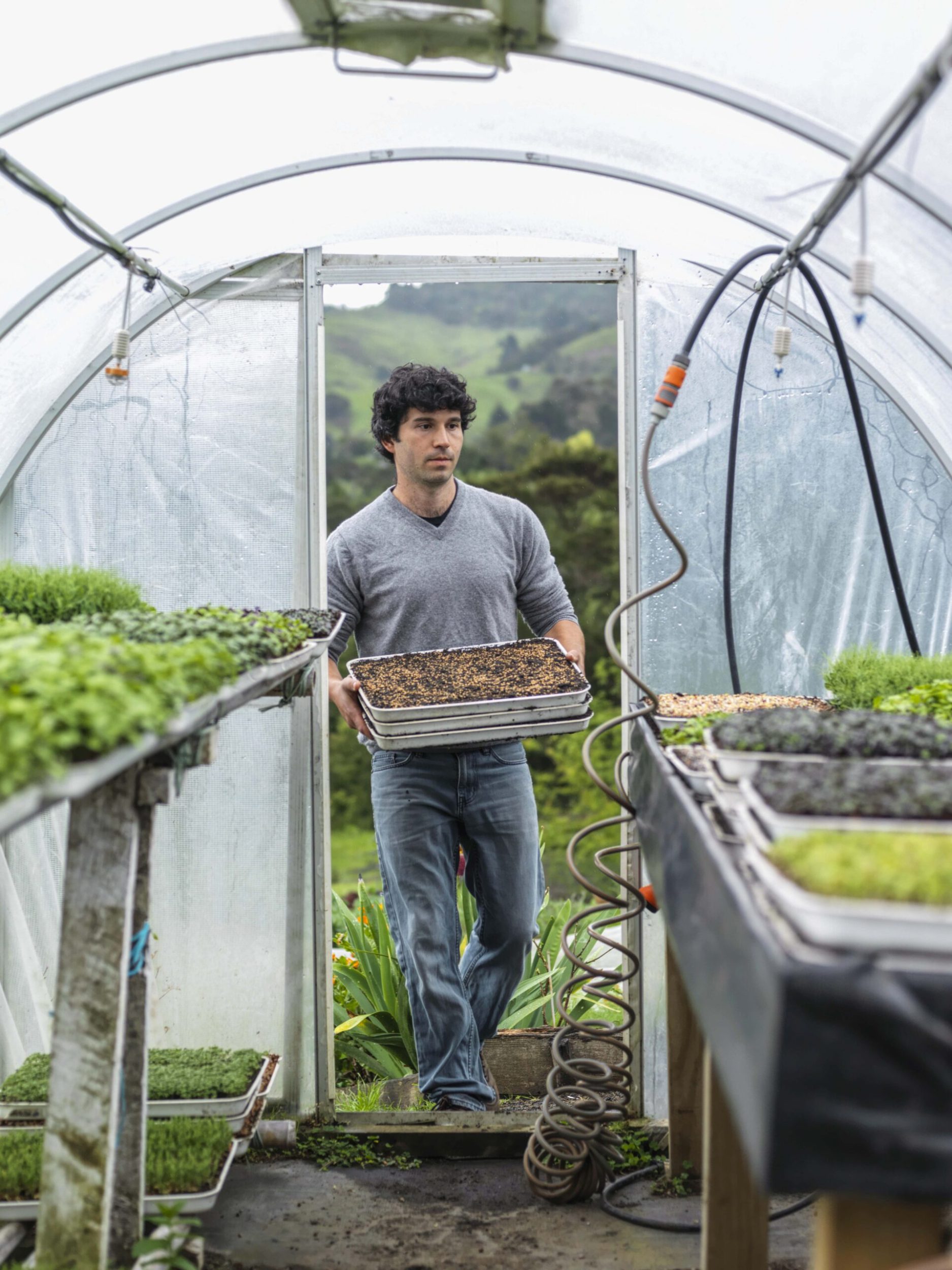 Yotam Kay carring a tray of soil in a greenhouse 