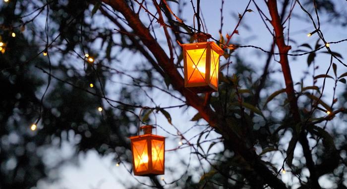 tin lanterns hanging from a tree