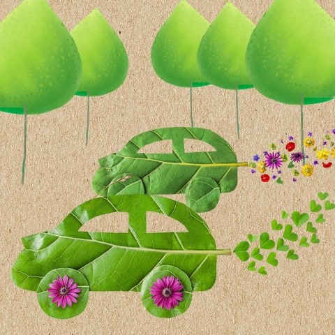 Illustration of cars made from leaves with flower exhaust fumes