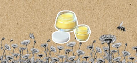 Beeswax lip balm on brown paper background with sketched flowers and bees
