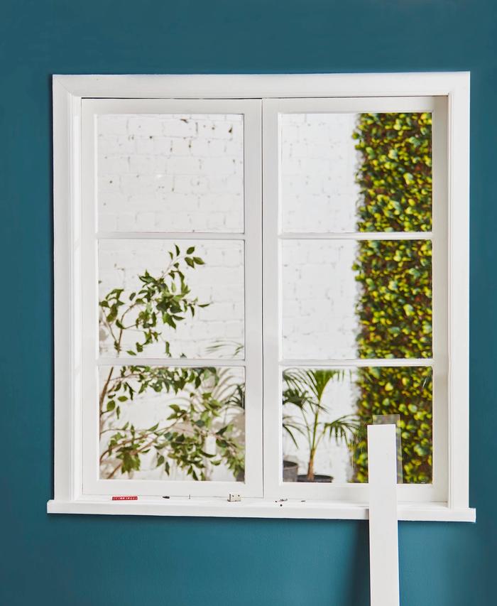 A window with while frames in a dark green wall