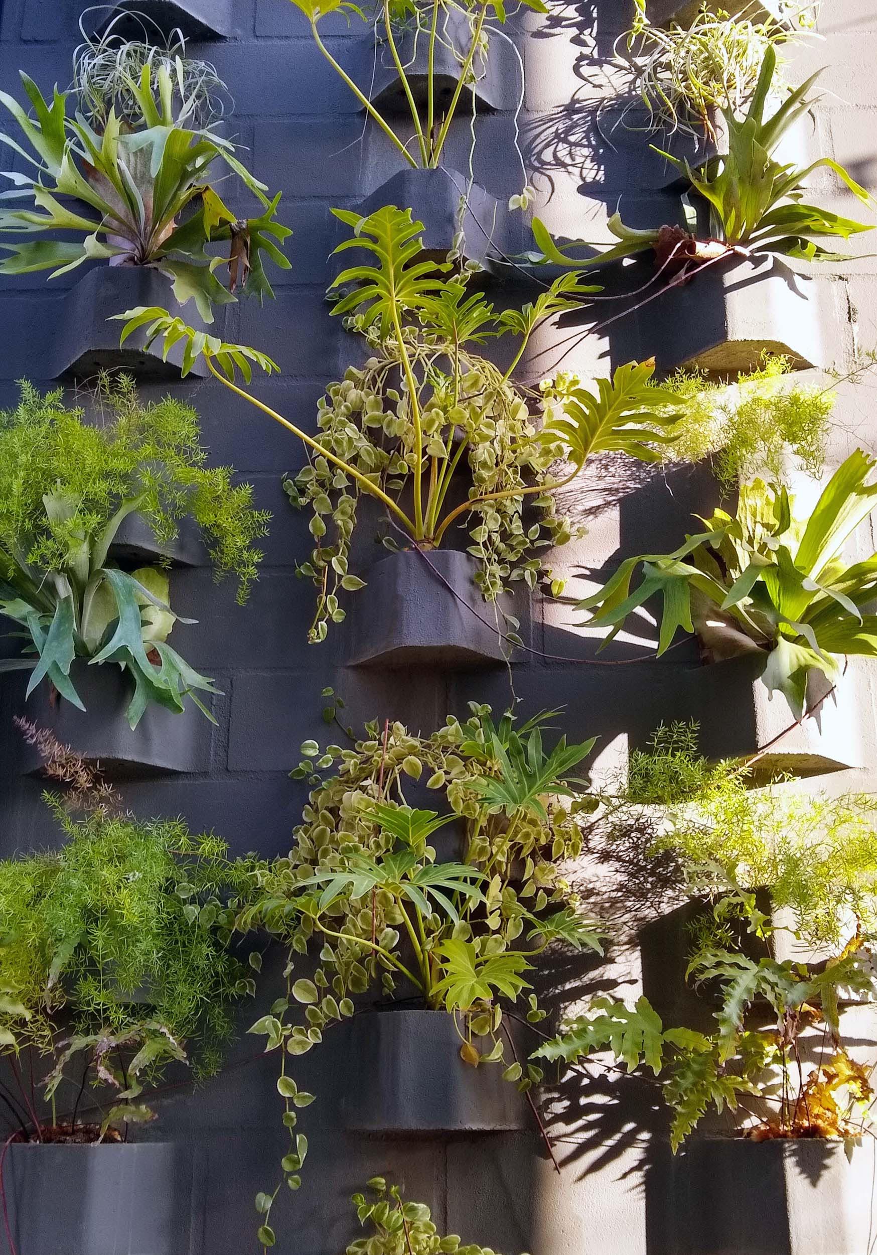 DIY climbing garden for herbs