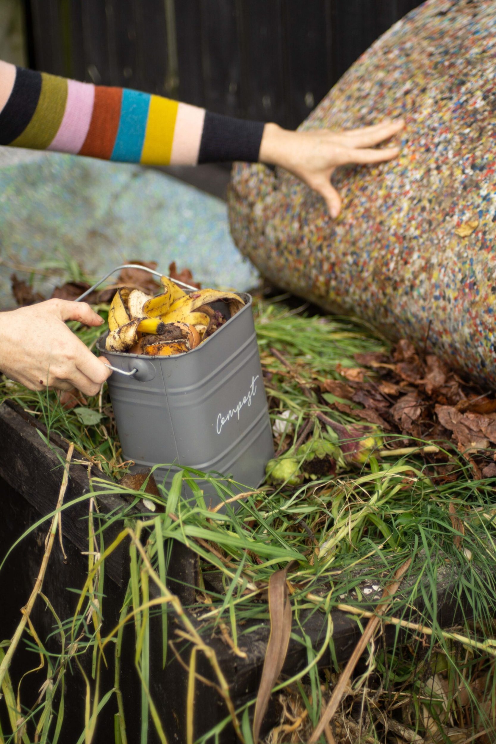 Container filled with banana skins being placed into compost bin