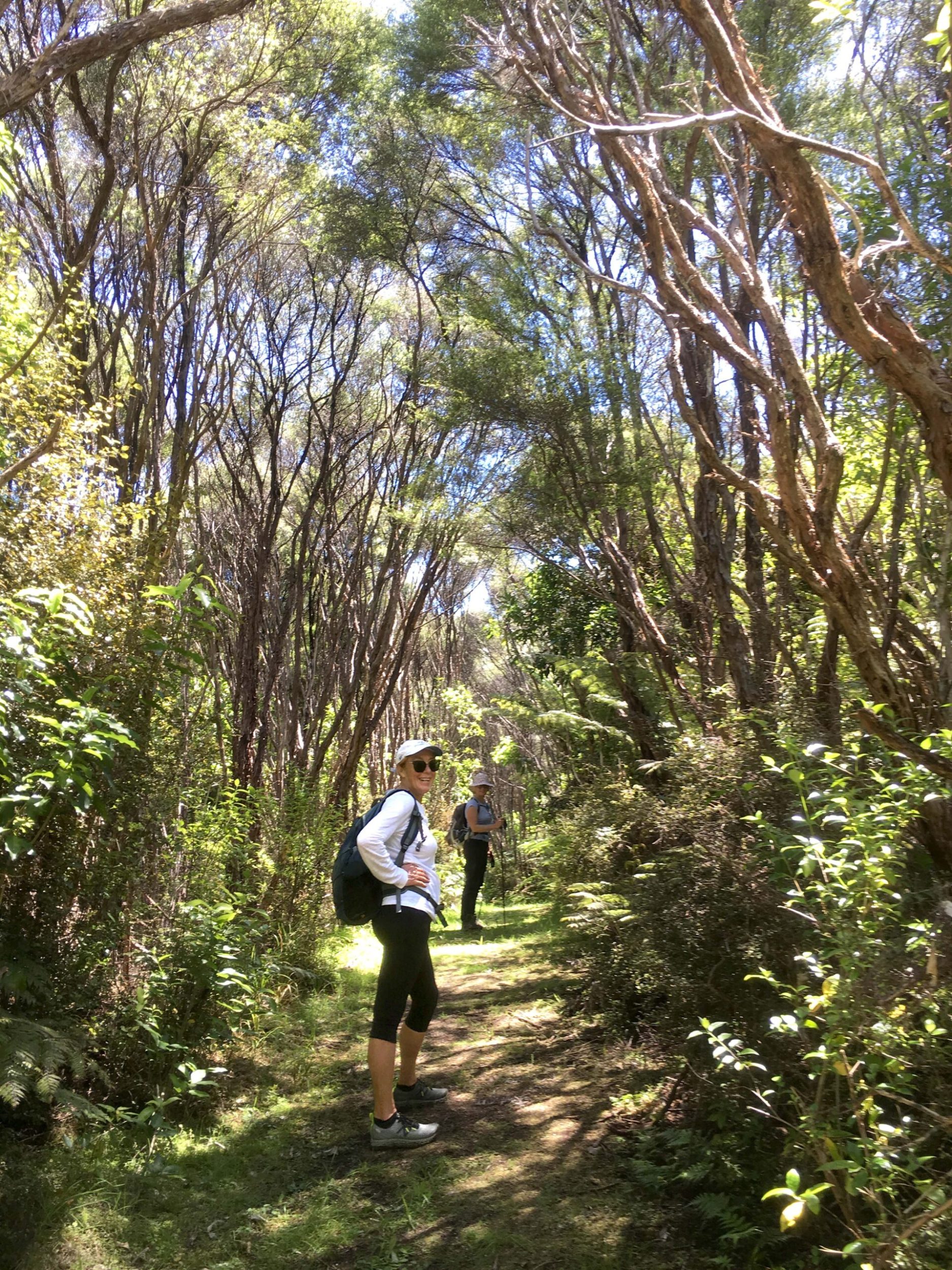 Whakenwha national park